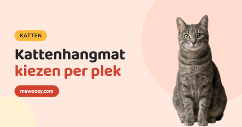 Kattenhangmat kiezen: raam, verwarming, muur of onder een stoel