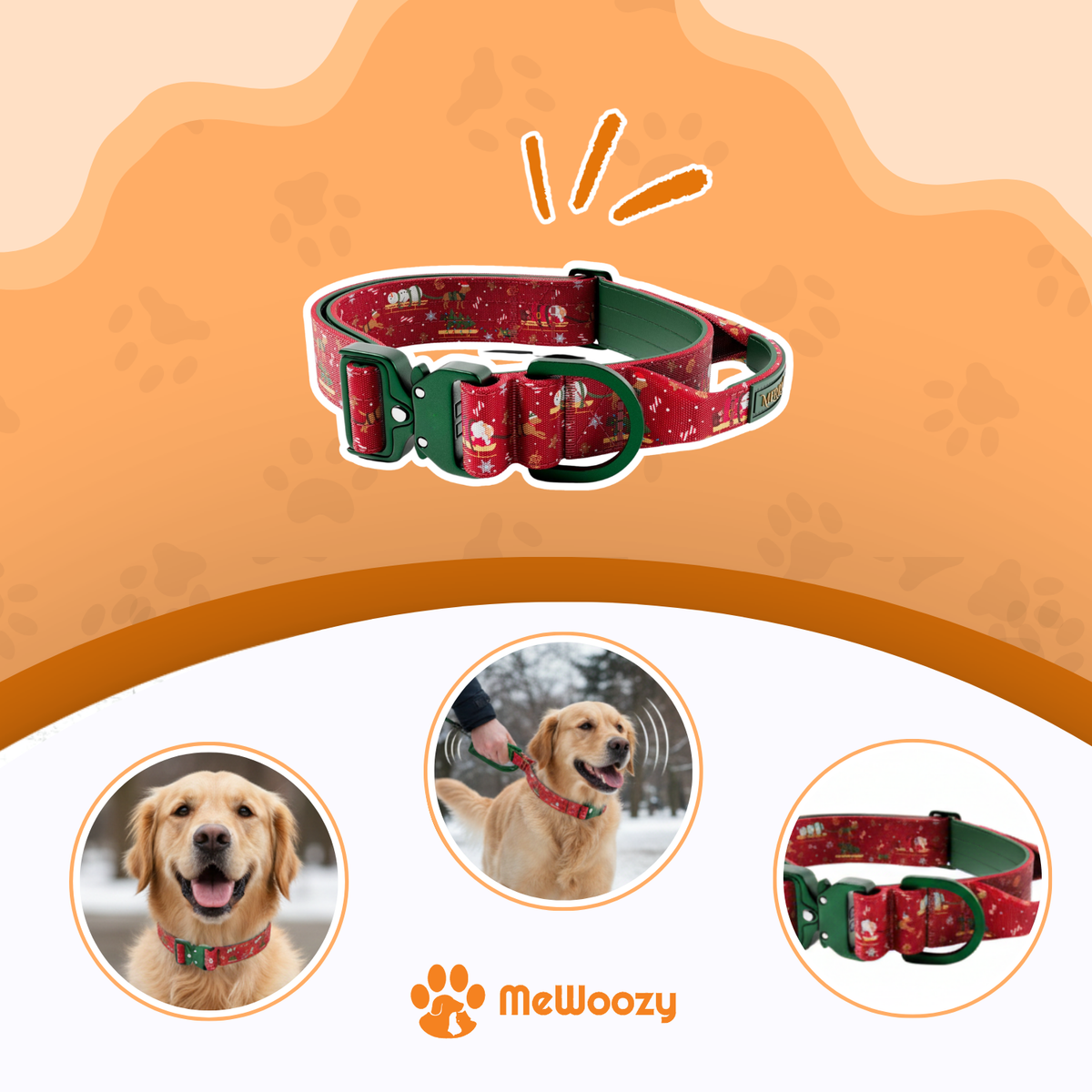 Golden retriever met de rode halsband, ook aangelijnd buiten in de winter