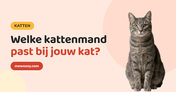 Welke kattenmand past bij jouw kat? Zo kies je