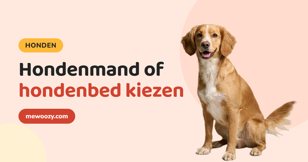 Hondenmand of hondenbed kiezen: maat, vulling en plek