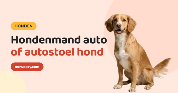 Hondenmand auto of autostoel voor je hond: zo kies je