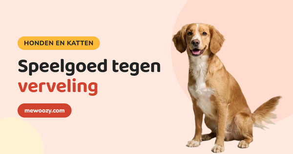 Speelgoed tegen verveling bij hond en kat: wat werkt?
