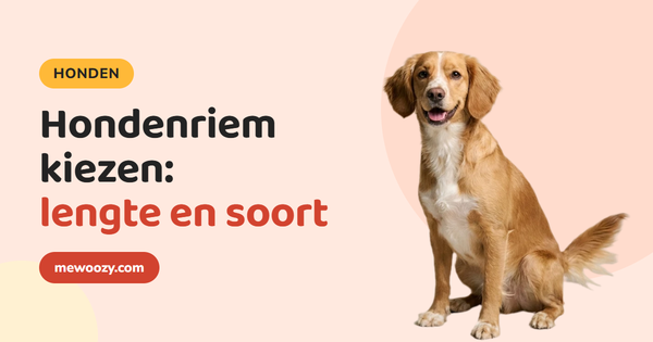 Hondenriem kiezen: lengte, soort en materiaal