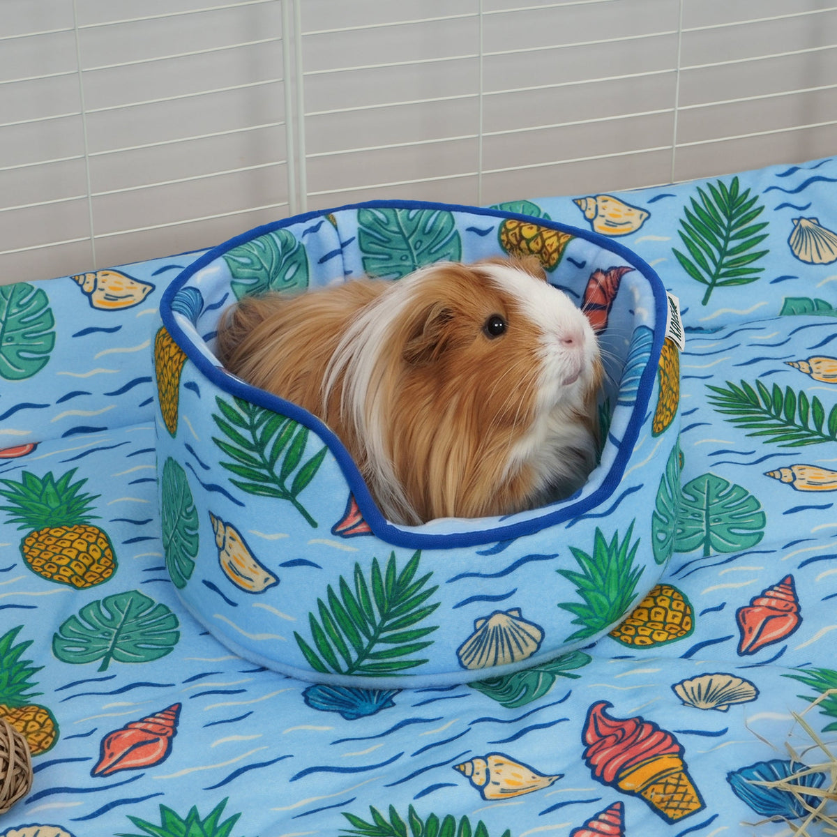 Langharige cavia ligt in de mand op een bijpassend blauw fleecekleed
