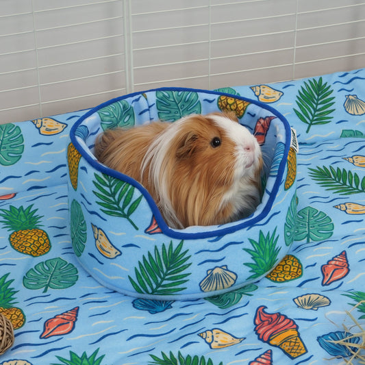 Langharige cavia ligt in de mand op een bijpassend blauw fleecekleed