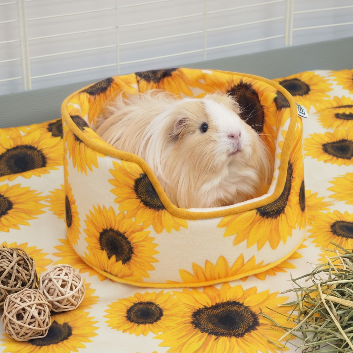 Langharige cavia ligt in de knuffelmand op een zonnebloemkleed met hooi