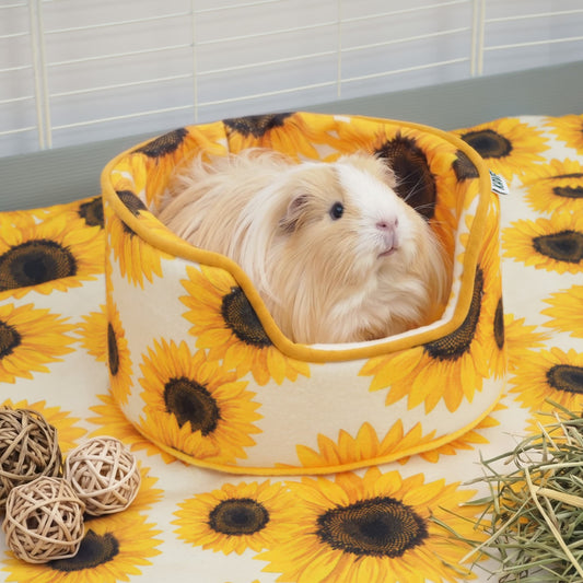Langharige cavia ligt in de knuffelmand op een zonnebloemkleed met hooi