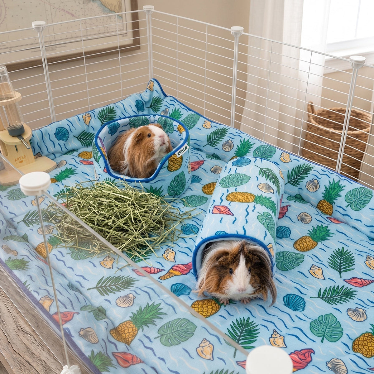 Twee cavia's in een binnenren, één in de mand en één in een tunnel