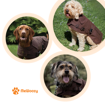 Waterdichte Hondenjas Met Flanel – Voor Droge Wandeldagen