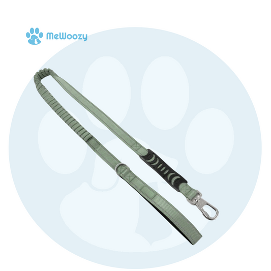 Bungee Hondenriem 1.2M – Met Schokabsorbering