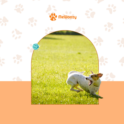 Dog Toy Ball – With Teeth Cleaning Effect