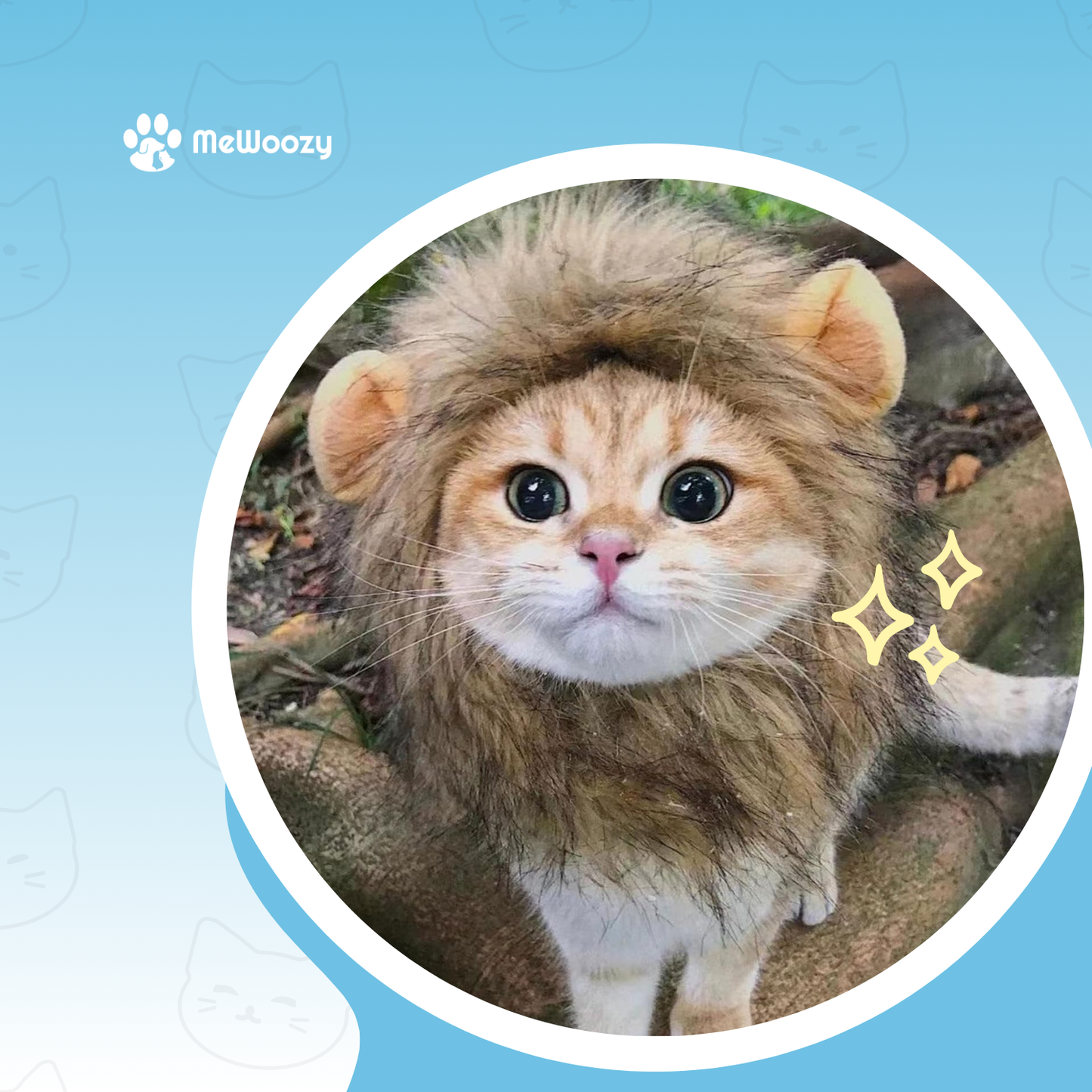 Leeuwenmanen Voor Katten – Voor Leuke Verkleedfoto's Thuis