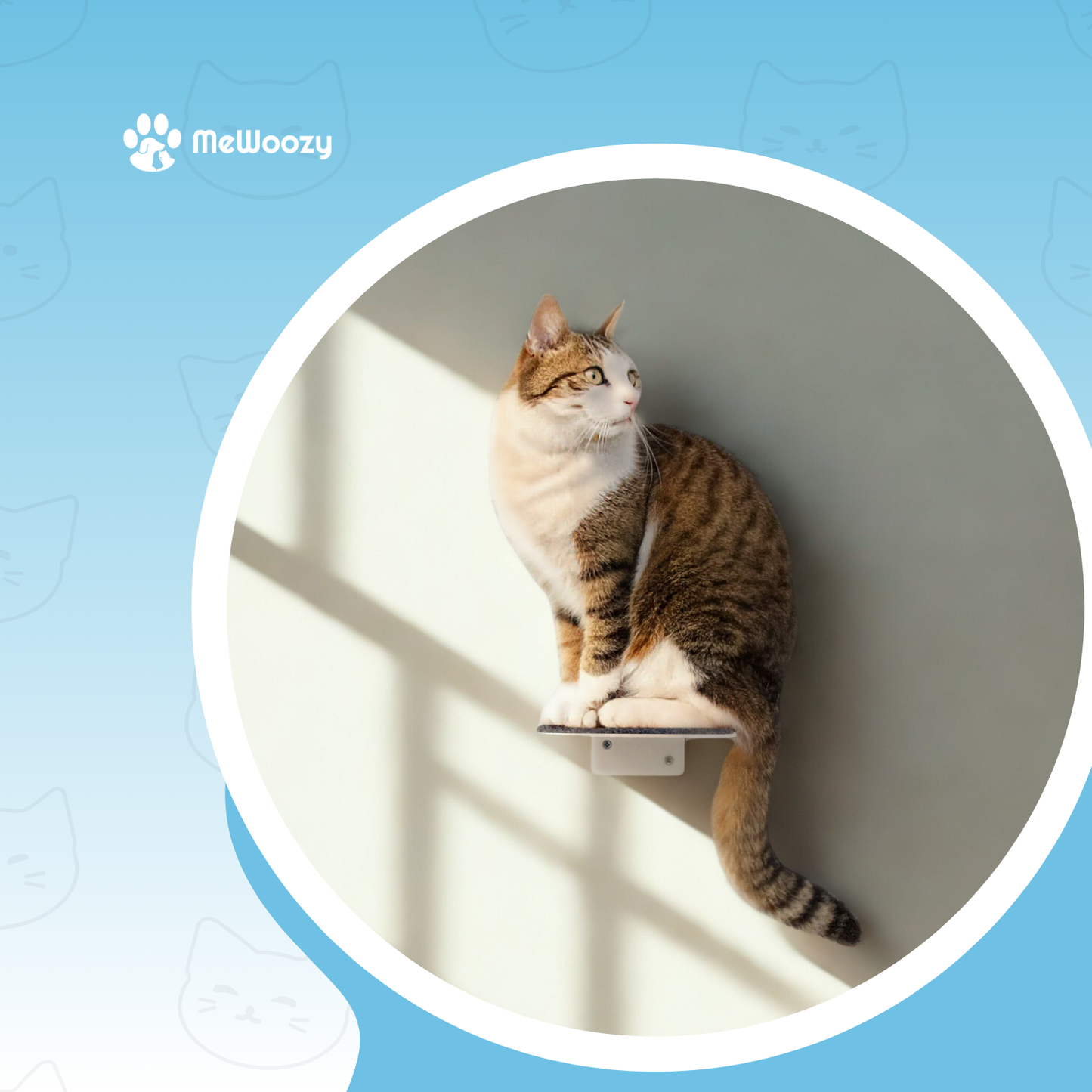 Wandtrap Voor Katten – Voor Meer Hoogte En Avontuur Thuis
