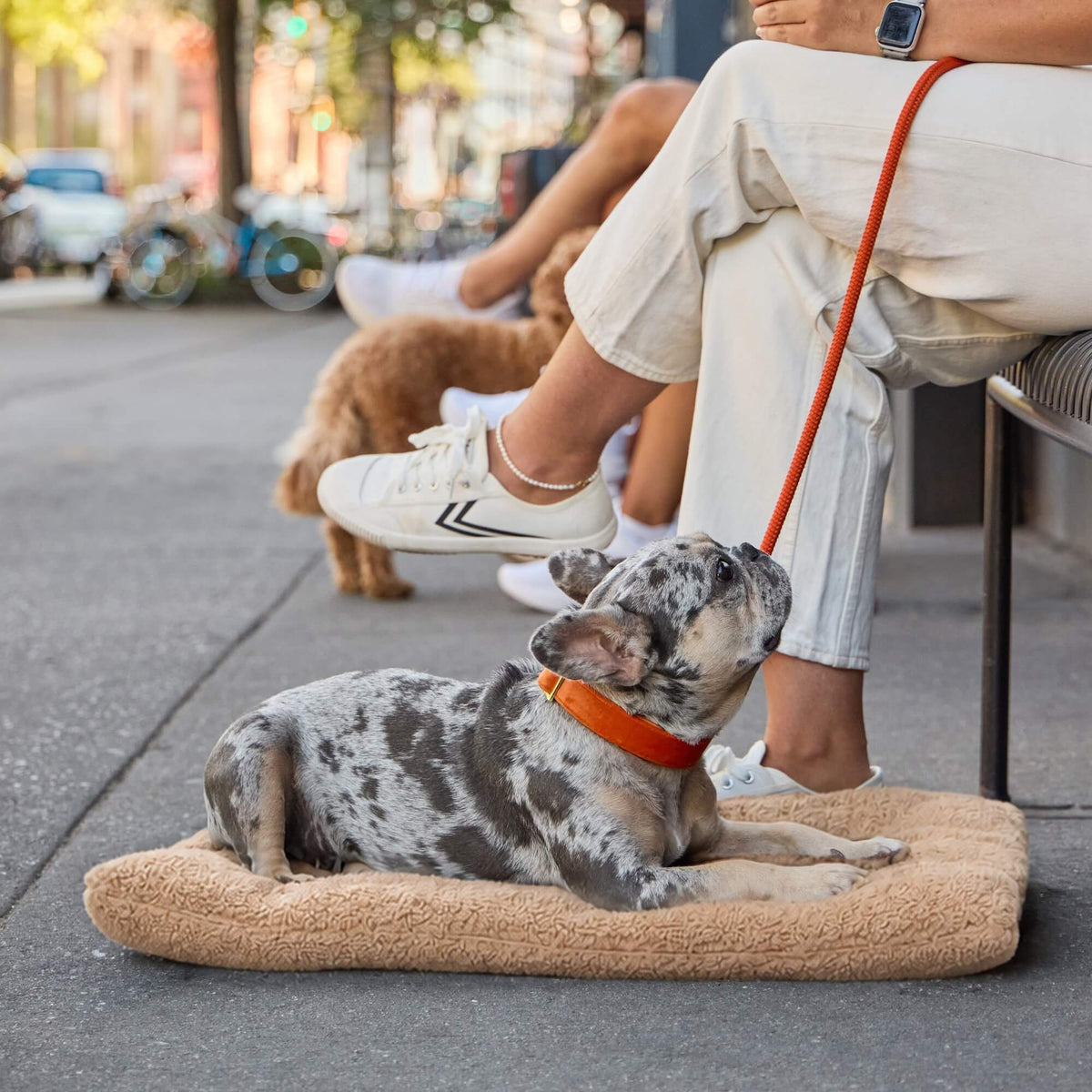Beige 3-in-1 Sherpa Reismat Voor Honden
