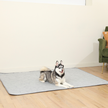 Cool Dog Blanket – Heat &amp; Stain Protection