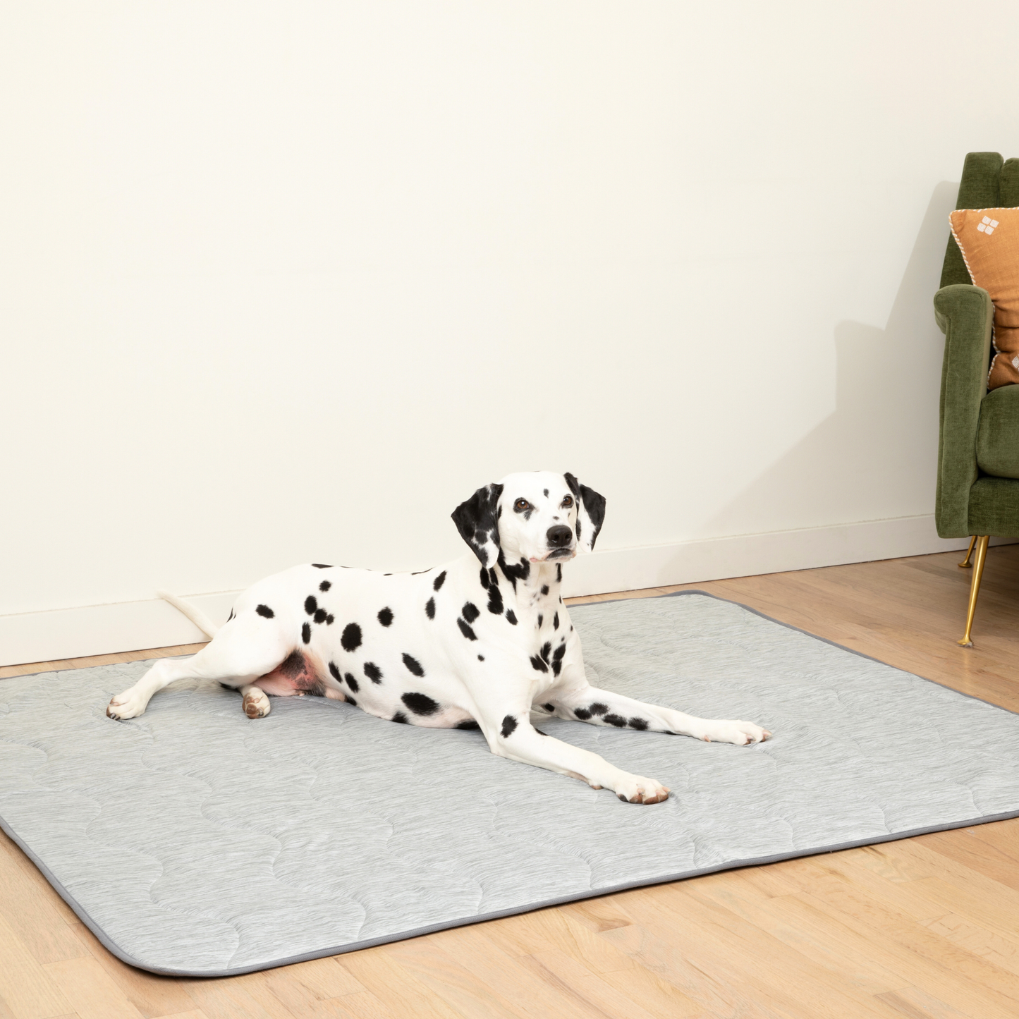 Cool Dog Blanket – Heat &amp; Stain Protection