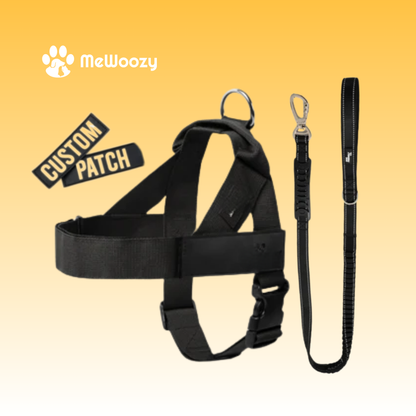 Dog Harness with Leash and Name Tag – For Comfortable Walks