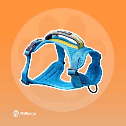 Lightweight Mesh Dog Harness – For Adventurous Walks