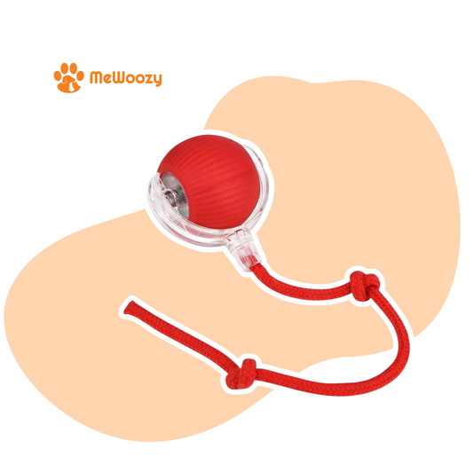 Interactive Dog Toy Ball – Against Boredom &amp; Stress