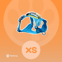 XS