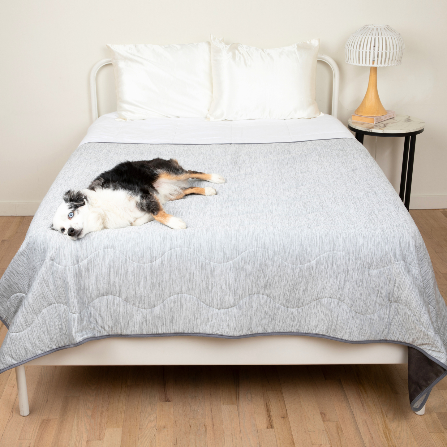 Cool Dog Blanket – Heat &amp; Stain Protection
