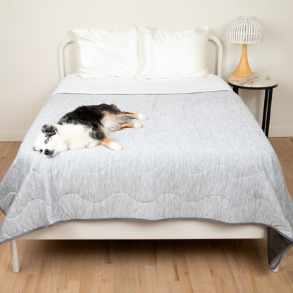 Cool Dog Blanket – Heat &amp; Stain Protection