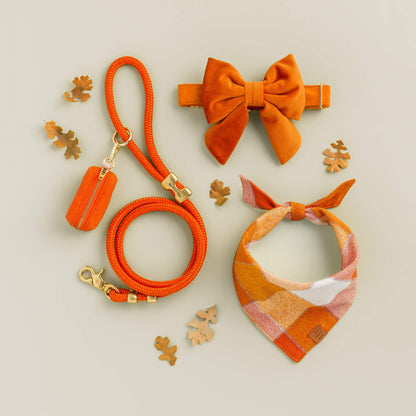 Pumpkin Fluwelen Halsband Voor Honden