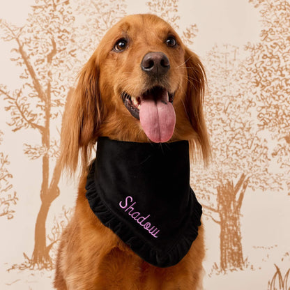 Zwarte Fluwelen Ruches-Bandana Voor Honden