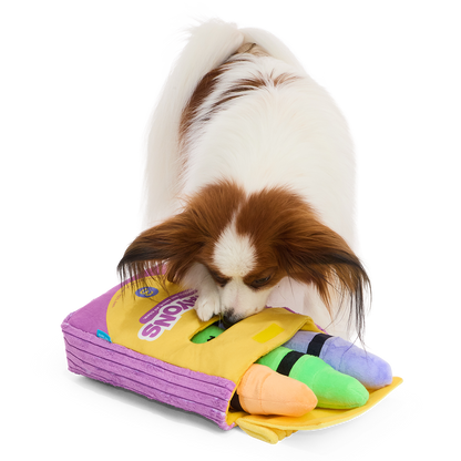 Papillon snuffelt met zijn neus in de omgevallen krijtjesdoos