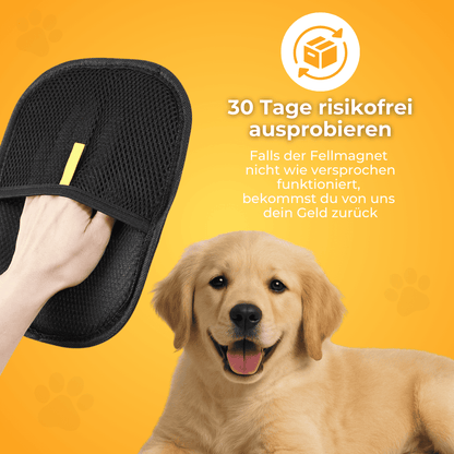Hand in de zwarte handschoen naast golden retriever pup met tekst over 30 dagen proberen