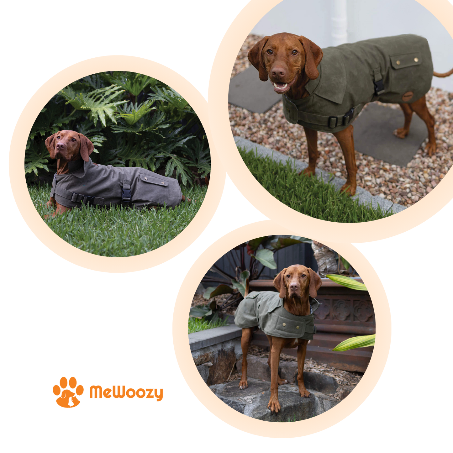 Waterdichte Hondenjas Met Flanelvoering – Voor Natte Wandelingen