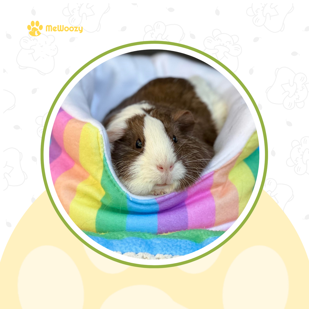 Regenboog Knuffelmand Voor Cavia's