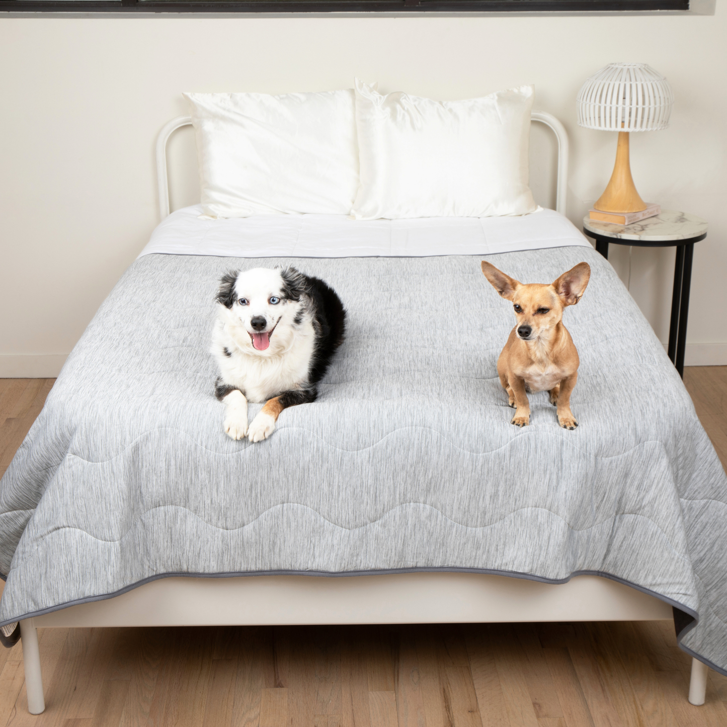 Cool Dog Blanket – Heat &amp; Stain Protection