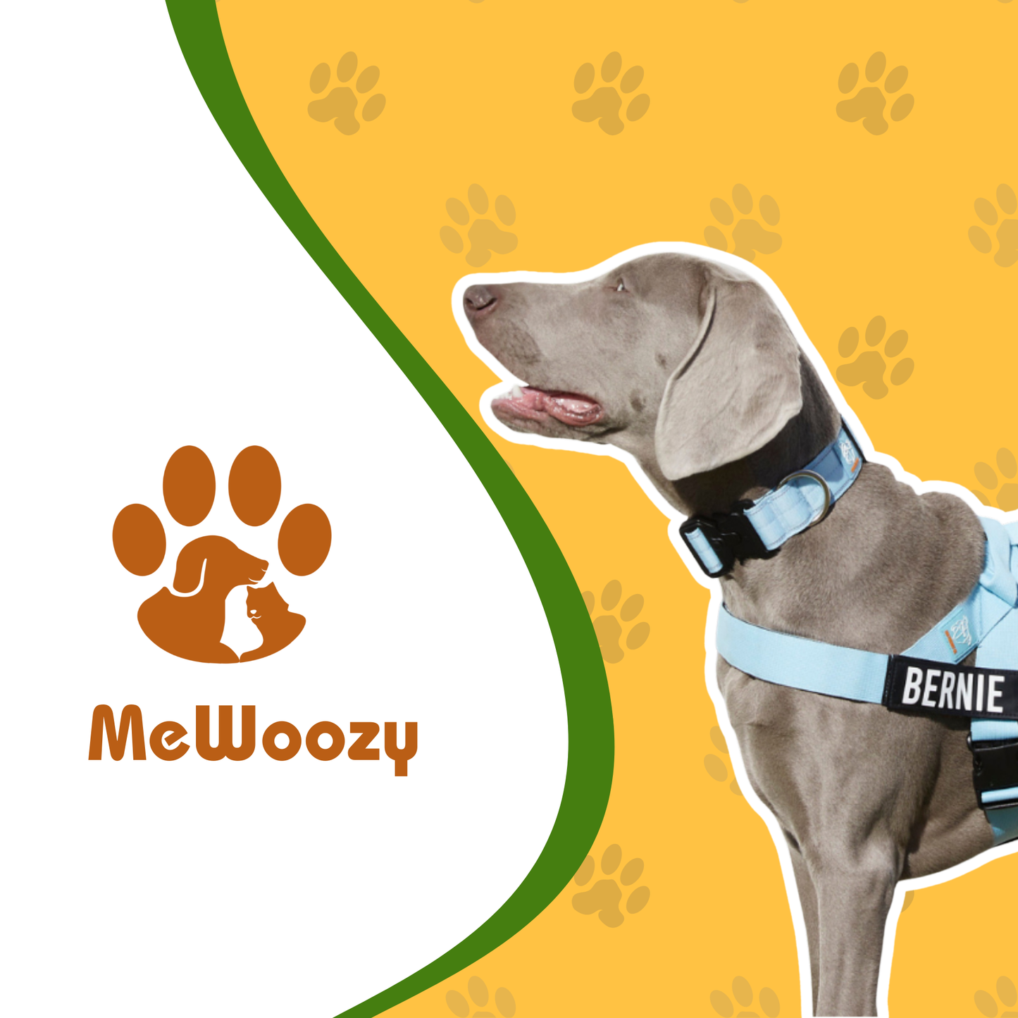Dog Harness with Leash and Name Tag – For Comfortable Walks