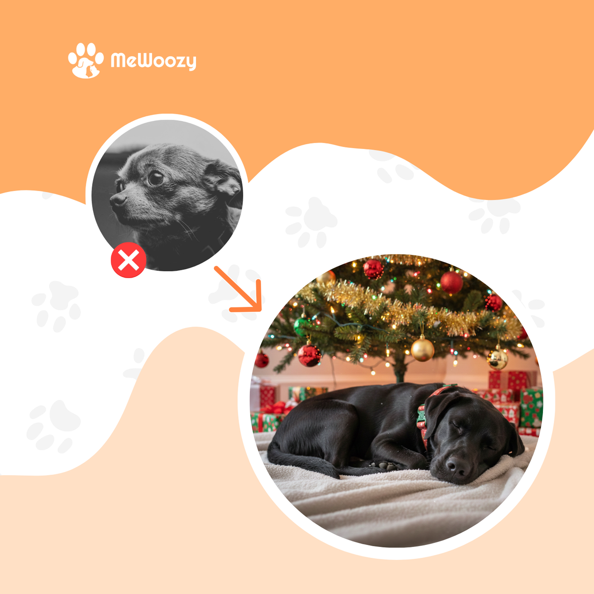Zwarte hond met de halsband slapend op een deken onder de kerstboom