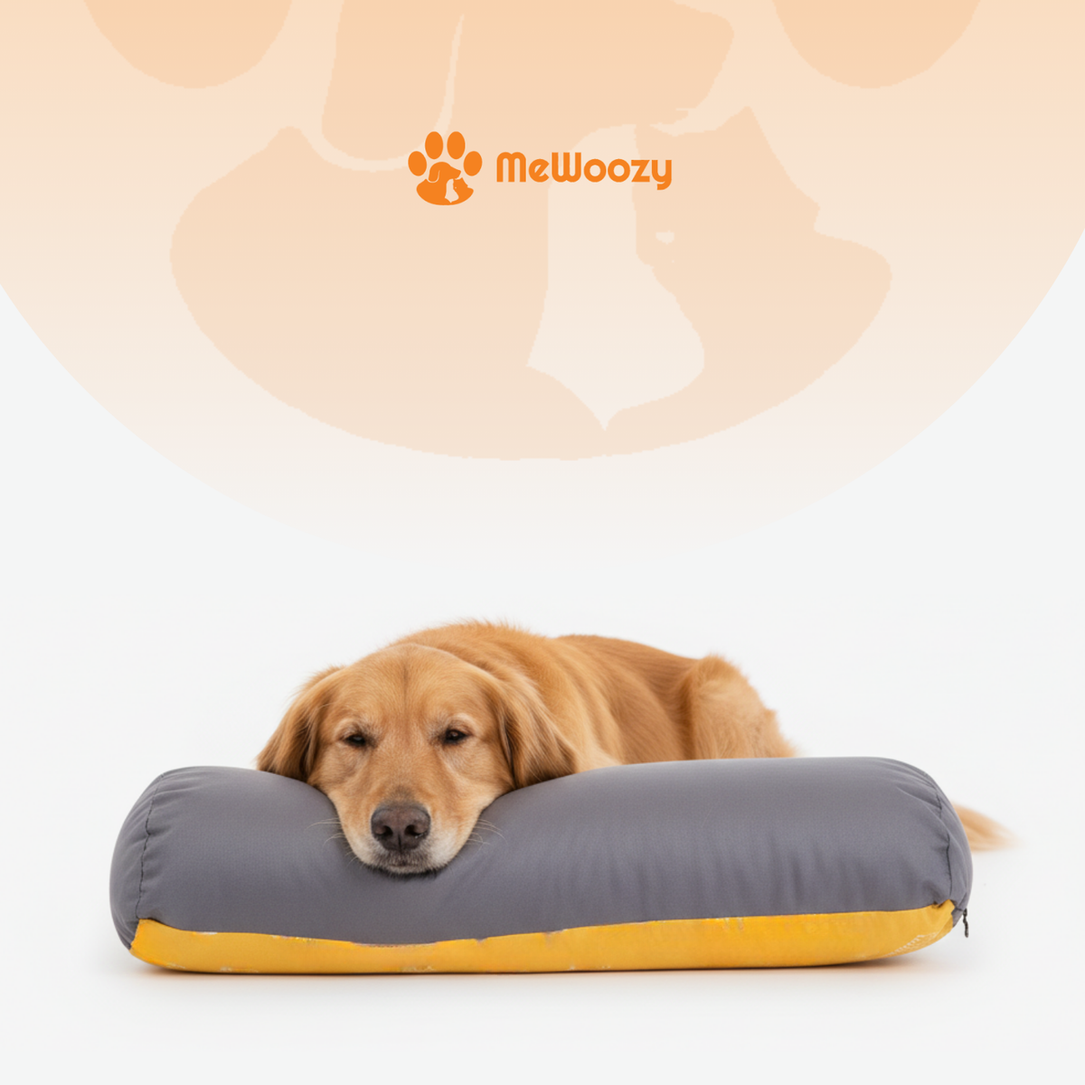 Golden retriever ligt met zijn kop op het grijs-gele kussen