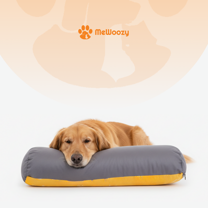 Golden retriever ligt met zijn kop op het grijs-gele kussen