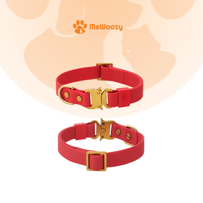 Ember Everyday Wandelset Voor Honden