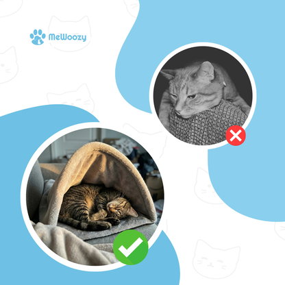 Verwarmde Kattengrot – Voor Warme En Veilige Rust