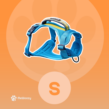 Lightweight Mesh Dog Harness – For Adventurous Walks