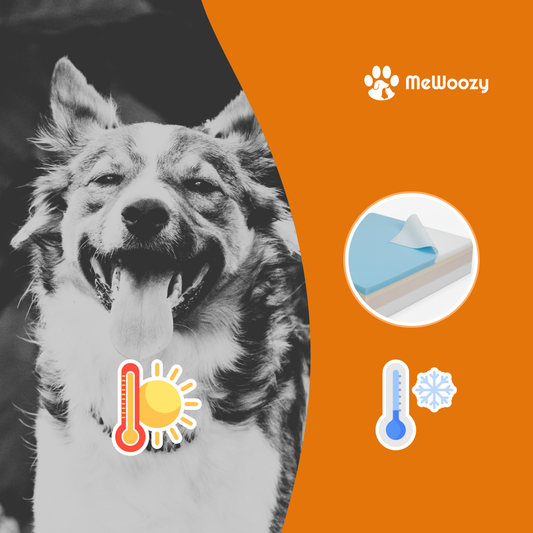 Zwart-witfoto van hijgende hond met iconen voor warmte en verkoeling naast de koelmat