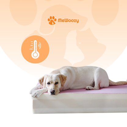 Lichte labrador ligt op het hondenbed, met icoon van een thermometer