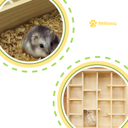 Houten Hamster Doolhof Met Glaspaneel – Voor Slim Spelplezier