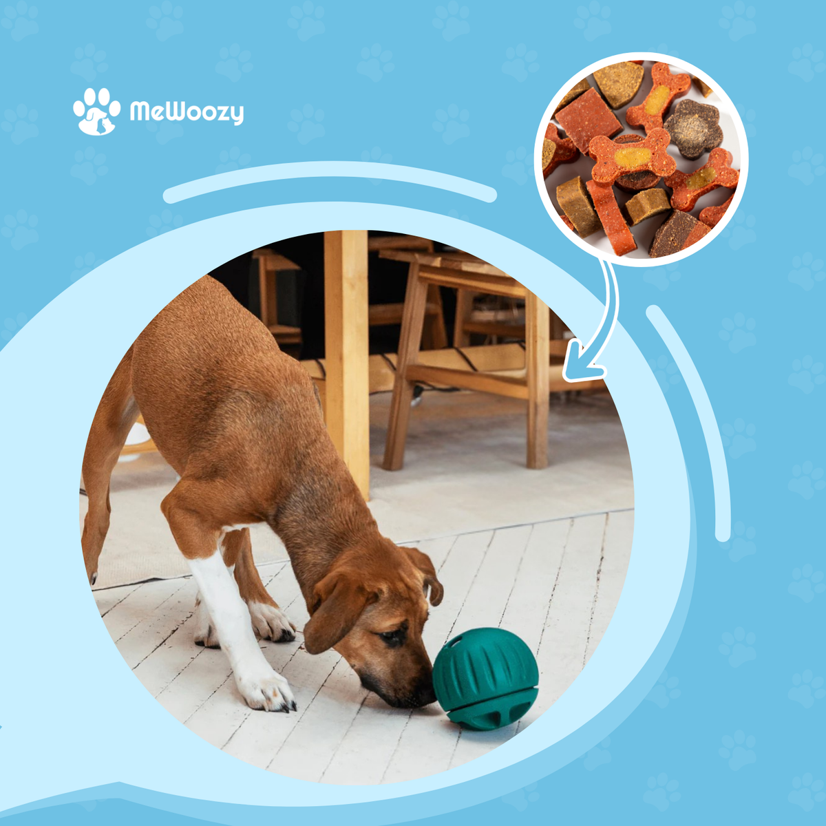 Bruine puppy snuffelt aan de groene voerbal op een houten vloer