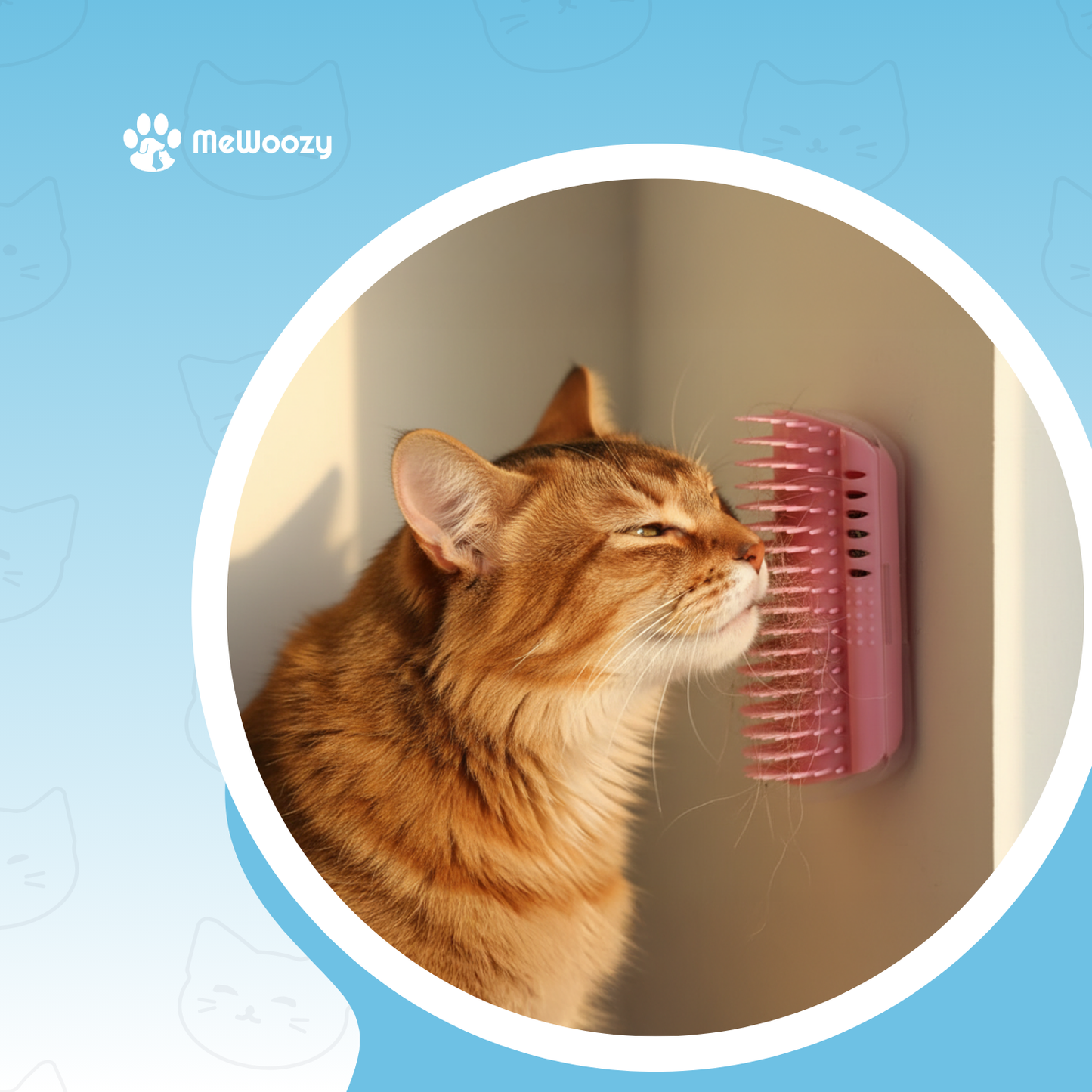 Kattenhuis Set 6 Stuks – Voor Knusse Speelplek
