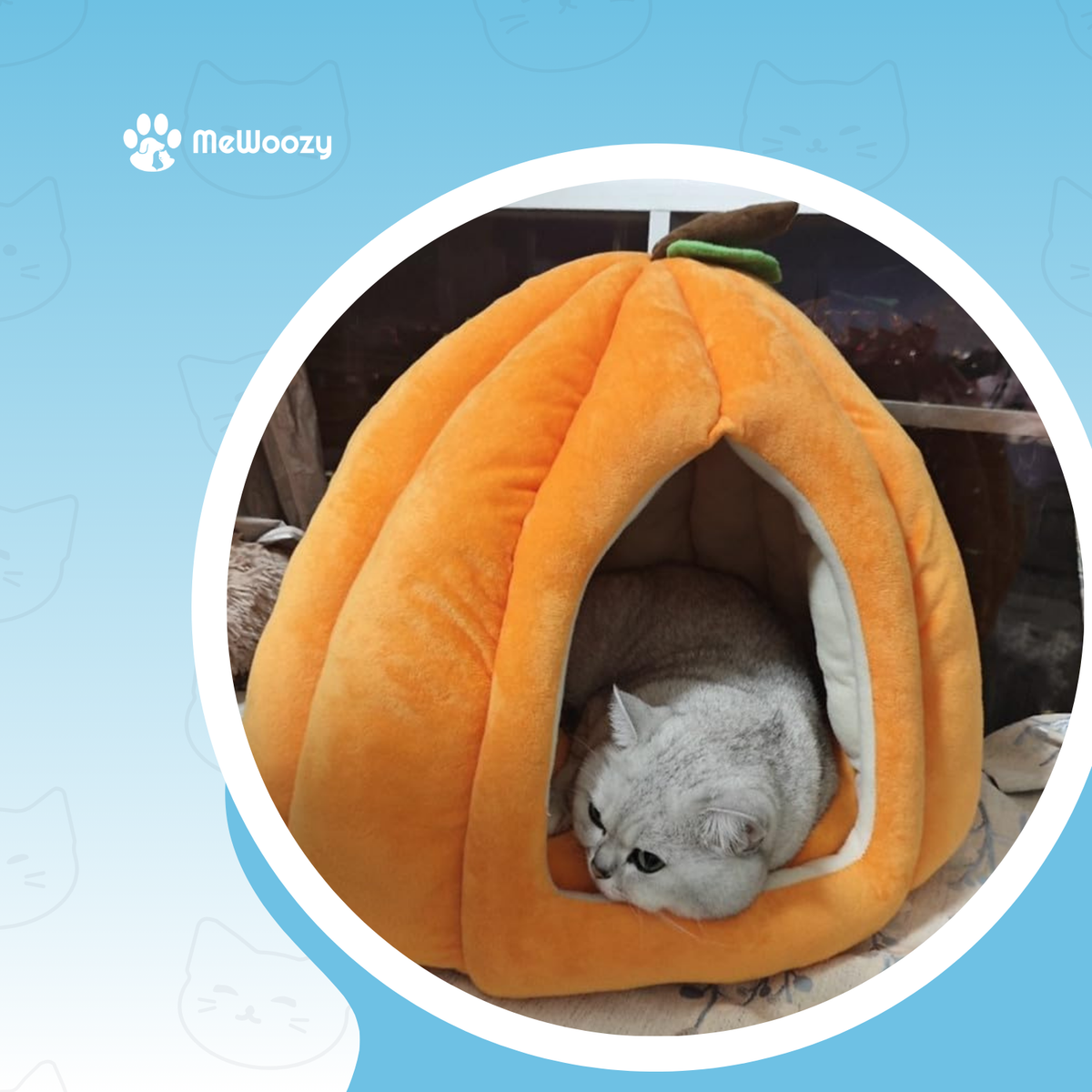 Grijze kat ligt te rusten in het oranje kattenhol bij het raam