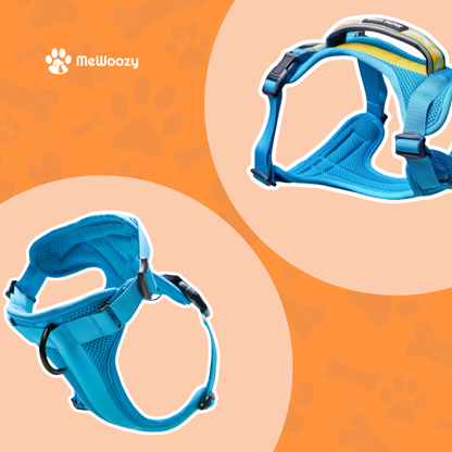 Lightweight Mesh Dog Harness – For Adventurous Walks