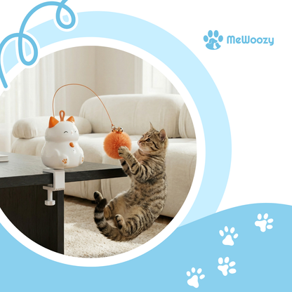 Interactieve Kattenbal – Voor Actief Jachtspel