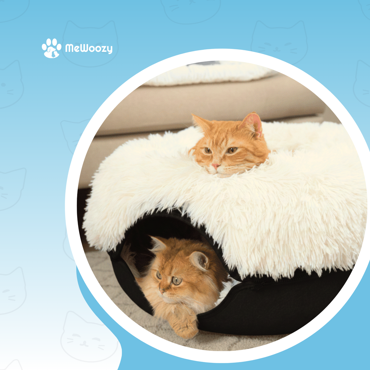 Twee rode katten in de kattenmand, één bovenop en één in de opening