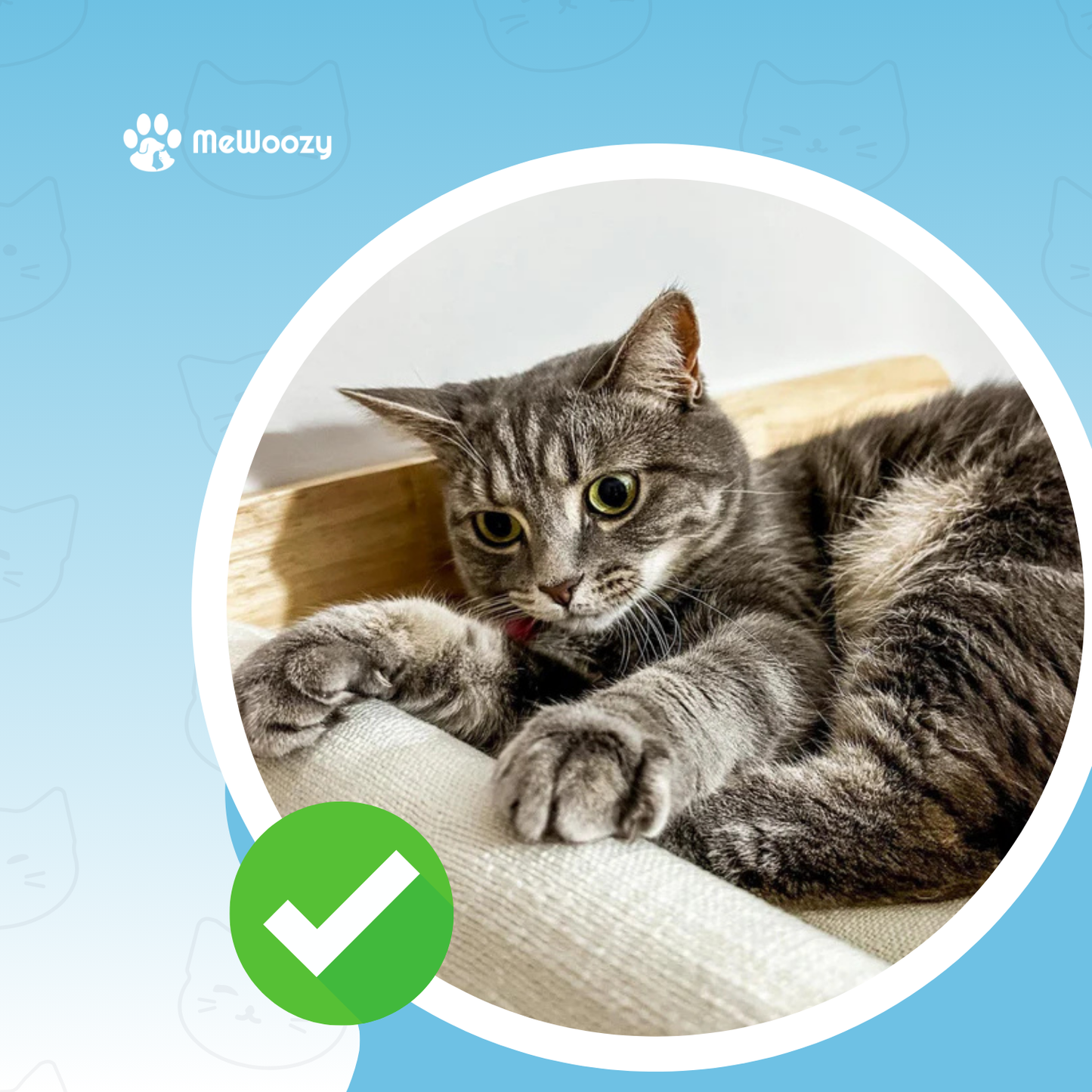 Wandhangmat Voor Katten – Voor Knusse Hoogte En Klimplezier
